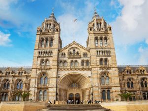 Natural History Museum 1 Natural History Museum 1